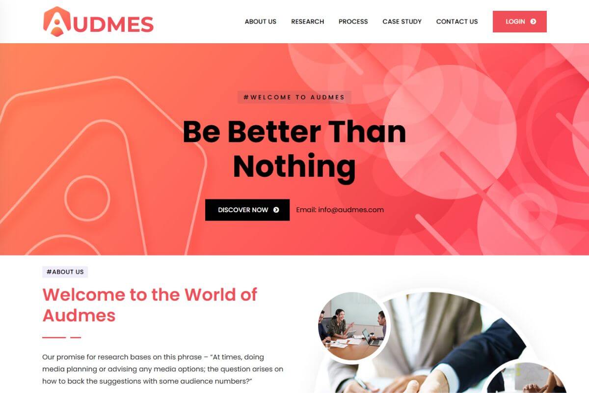 Audmes Custom Solution